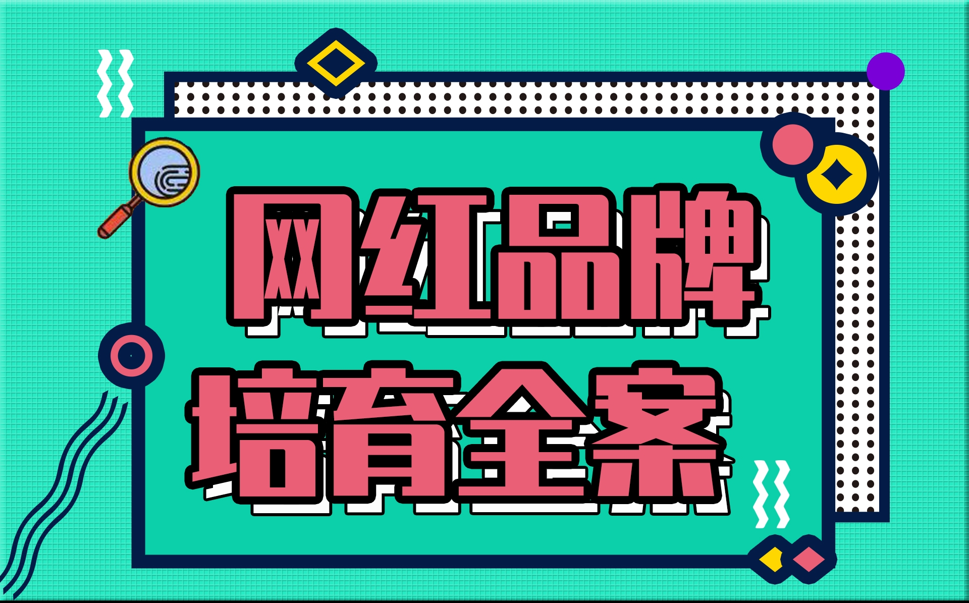 網(wǎng)紅品牌培育全案