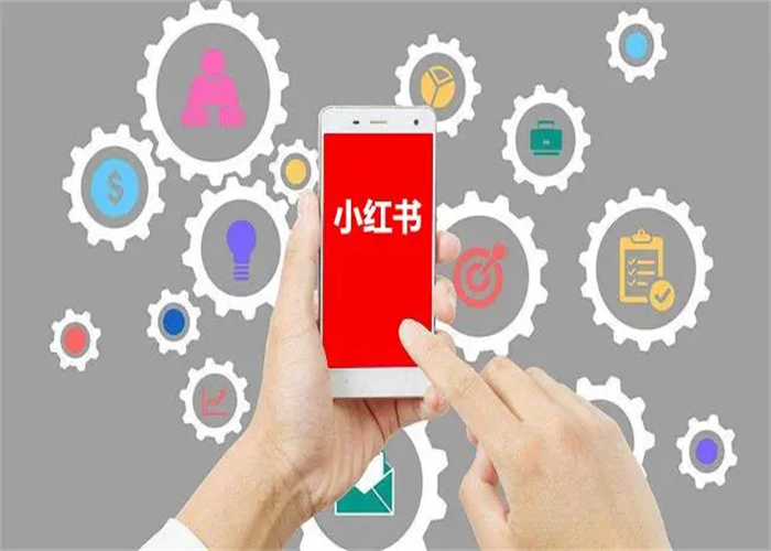 小紅書如何漲粉？教你幾招快速漲粉的技巧！