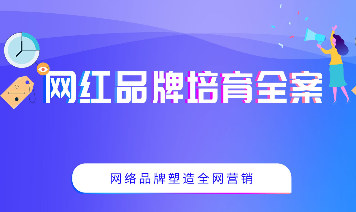 網(wǎng)紅品牌培育全案(圖1)