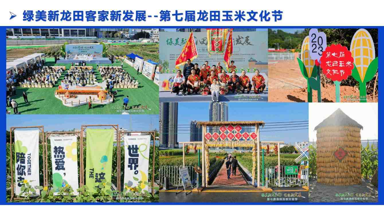 龍?zhí)镉衩坠?jié)(圖2)