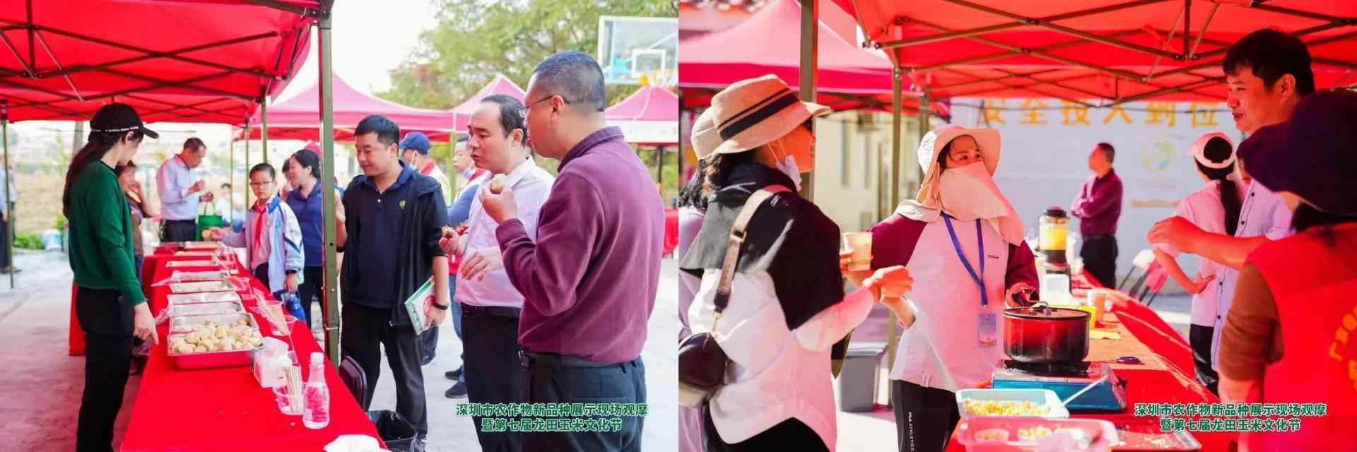 龍?zhí)镉衩坠?jié)(圖4)