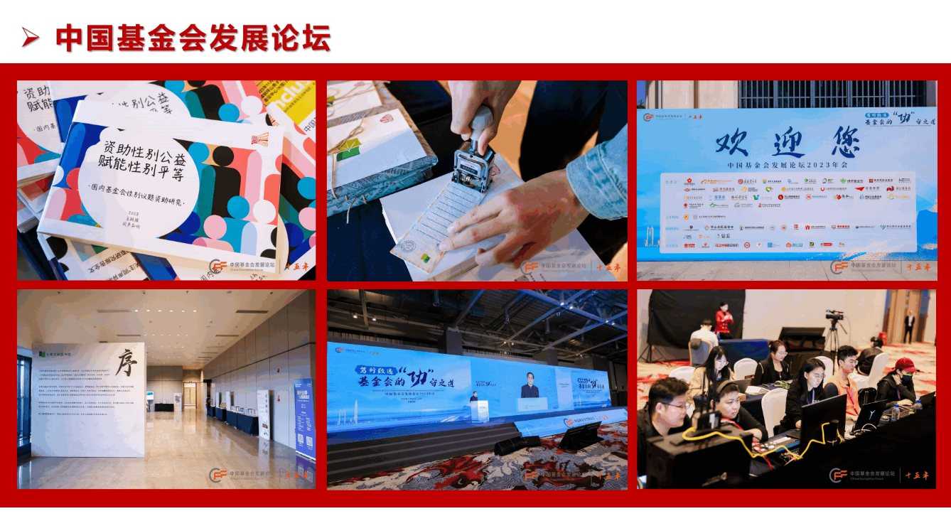 中國基金會發(fā)展論壇(圖2)